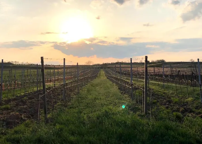 Appartement Eder-home